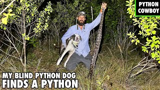 My Blind Dog Helen Finds A Python In The Florida Everglades