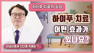 자궁근종과 선근종의 치료는 하이푸 치료로?