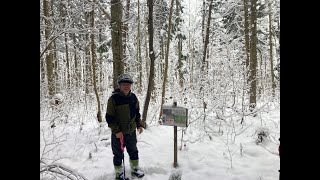 【クリスマスツリー採取】突哨山の混交林再生観察路で間伐の話を聞いたよ🌳 北海道旭川市✨ Asashikawa city in Hokkaido