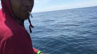 tengiri tuas pulau payar .. jigging spanish mackerel …tica taurus jigging shimano