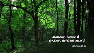 കാഞ്ചനക്കാവ്ഉപാസകരുടെ കാവ്‌. me to me trust.