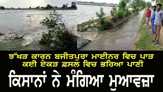 Abohar: Cracks in Bajitpura Minor due to cyclone, flooding in several acres of crops