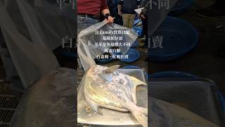 （JJ Family買魚日記）基隆崁仔頂～平平是魚身價大不同～現流白鯧、白嘉利、紅喉拍賣！