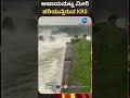 ಅಪಾಯಮಟ್ಟ ಮೀರಿ ಹರಿಯುತ್ತಿರುವ krs krs dam overflow krs krsdam krsdamoverflow krishnarajasagardam