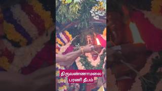 திருவண்ணாமலை பரணி தீபம்! திருவண்ணாமலை கார்த்திகை தீபத் திருவிழா 2024!