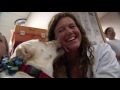 Henry the Hospital Therapy Dog