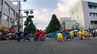 須賀IZANAI連 栄の国祭り よさこい佐賀 2019.08.03(土)