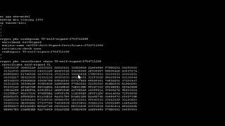 Basic Python script to run SSH on Cisco switch to do a Show Running Command