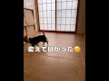 ワンちゃんが遊ぶ「リフォーム畳®」＃ペット　＃犬