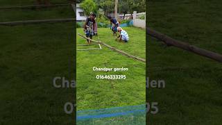 মেক্সিকান লন কার্পেট ঘাস বারমুডা #grass #foryou #shorts #trending#youtube#garden @gardeningchannel