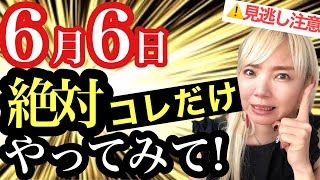 重要日※6/6寅の日⚠️36年に一度！〇〇するだけで金運がヤバいくらい上がります！スピチューバー美湖