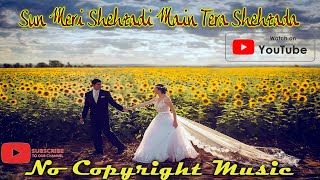 Sun Meri Shehzadi Main Tera Shehzada | New Love Song 2020 |NO Copyright Music