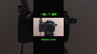 一眼レフ連写PENTAX K10D