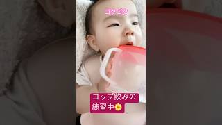 【生後6ヶ月】初めてのコップ飲み練習🌼🤍#shorts #short #baby #赤ちゃん #癒し #子育て #新米ママ #あかちゃん #あるある #かわいい #可愛い #成長記録 #成長