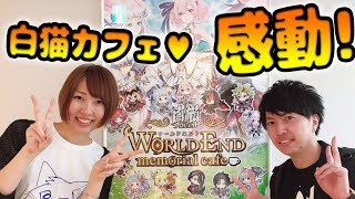 【白猫】リアイベ！白猫カフェの全貌！営業前のワールドエンドメモリアルカフェに潜入してきた！