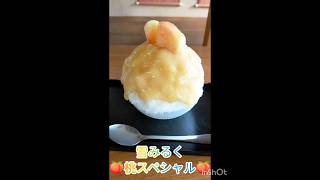 笠間市にある雪みるくでかき氷を食べてきました🍧氷がふわふわでとても美味しかったです🤤弟は桃スペシャル味にしてました🍑