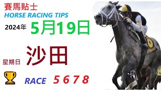 HKJC「賽馬貼士」🐴 2024  年 5  月 19 日 沙田 🐴 香港賽馬貼士 HONG KONG HORSE RACING TIPS 🐴 RACE  5  6  7  8