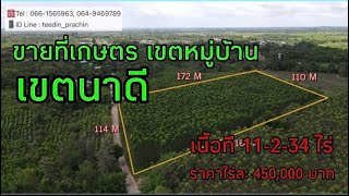 (ขายแล้ว)ขายที่เกษตร เขตหมู่บ้าน ติดถนน 3 ด้าน เขตสัมพันตา นาดี เนื้อที่ 11-2-34 ไร่