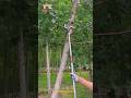 Simple and Best Tree Branch Pruning Pole Saw