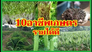 10อาชีพเกษตรรายได้ดี