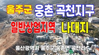 🌞151 🌝울주군 웅촌곡천지구 일반상업지역 나대지...울산광역시 울주군 웅촌면 곡천리 ..일반상업지역 나대지 매매