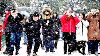 Snow covered Beijing Summer Palace in winter (HD1080p)