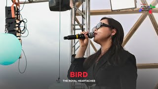 The Royal Heartaches- Bird