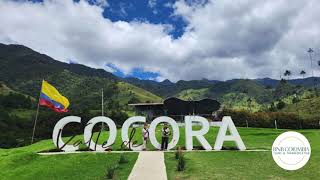 Land of the wax palms, a Cocora Valley adventure