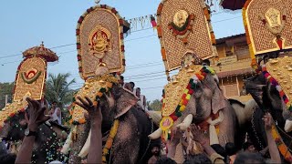 കോടന്നൂർ ശ്രീ സുബ്രഹ്മണ്യസ്വാമി ക്ഷേത്രം വിഷു പൂരം🔥2023🧡 കുട്ടൻകുളങ്ങര അർജുനൻ 🔥 പുതുപ്പള്ളി സാധു 🔥