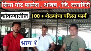 कोकणातील 100+ शेळ्यांचा बंदिस्त फार्म . सिया गोट फार्मस ,आंबव, जि. रत्नागिरी.