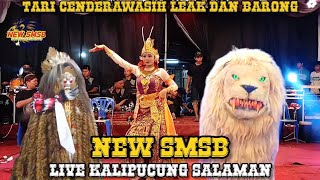 🔥🔥TERBARU TARI LEAK CENDERAWASIH DAN BARONG NEW SMSB LIVE KALIPUCUNG SALAMAN