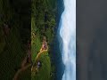 it s god s own country wayanad 🇮🇳 shortvideo wayanad incredibleindia india kerala