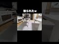 猫が犬に怒られる瞬間...笑 shorts