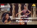 Madhura Madhura Meenakshi | Swami Dayananda Saraswati | AIM for SEVA and IndianRaga
