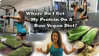 Protein Sources On The Raw Vegan Diet - Where Do I Get My Protein?