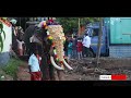 kollam pooram 2022 elephant video kollam pooram 2022