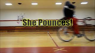 She Pounces! (Witchy Poo song)