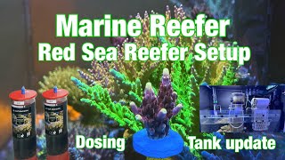 Tank tour of my Red Sea Reefer 525 Setup