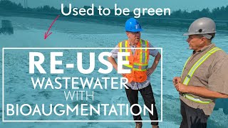 Pulp Mill wastewater reuse with Bioaugmentation - EnBiorganic