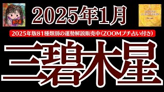 【三碧木星】2025年1月の運勢解説