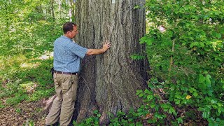 Tyler's 650 Acre Challenge