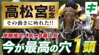 高松宮記念 2022 【予想/調教】控えめ言って、今が最高の「★あの馬」を好調教馬に指名！