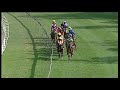 20191023 hollywoodbets greyville express clip race 6 won by mighty smart