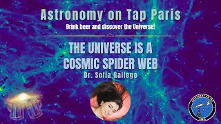 The Universe is a Cosmic Spider Web - Dr. Sofia Gallego