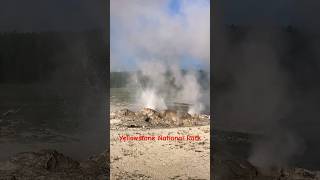 Geyser erupts at Yellowstone National Park - Original sound #geyser #volcano #nature #travel #shorts