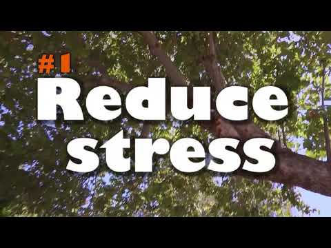 5 REASONS TO WALK YOUR DOG 5 REASONS TO WALK YOUR DOG
