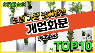 [광고]개업화분 추천 판매순위 Top10 || 가격 평점 후기 비교