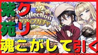 【ドルフィンウェーブ】クリスマス紫苑＆ヴィーナガチャ　推しキャラ引くなら魂焦がせ！　『BANが怖くて『ドルウェブ』やれるか！　配信切り抜き』　ドルウェブ　【Roddy GAMES】