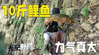 【無空野釣】荒野垂釣，這大鯉魚力氣真不小啊 #探险 #户外 #钓鱼生活 #钓鱼高手 #钓鱼分享 #钓鱼佬 #大鱼