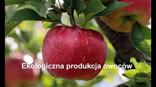 Ekologiczna produkcja owoców